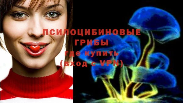ECSTASY Алексеевка