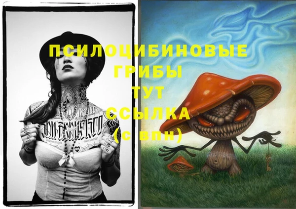 скорость Алексин
